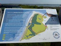 Arriving after about a mile at the Northam Burrows